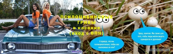PSILOCYBIN Абинск